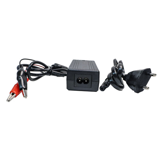 12V 1A SLA Battery Charger with EU Plug